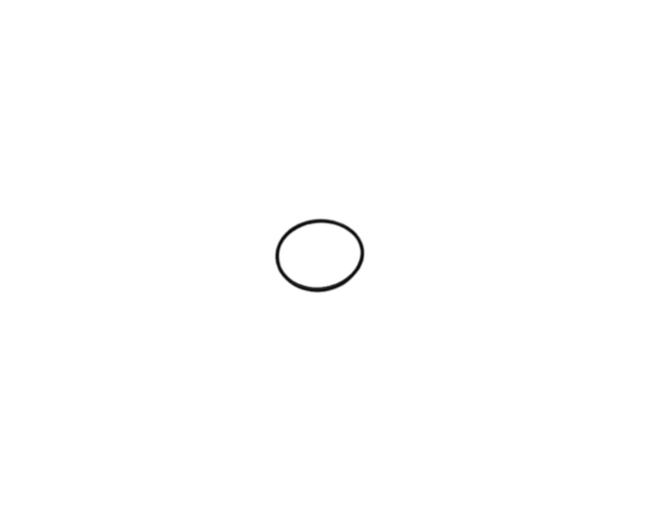 KANUNİ SEHA 250 ORING 30x1,8 - Görsel 1